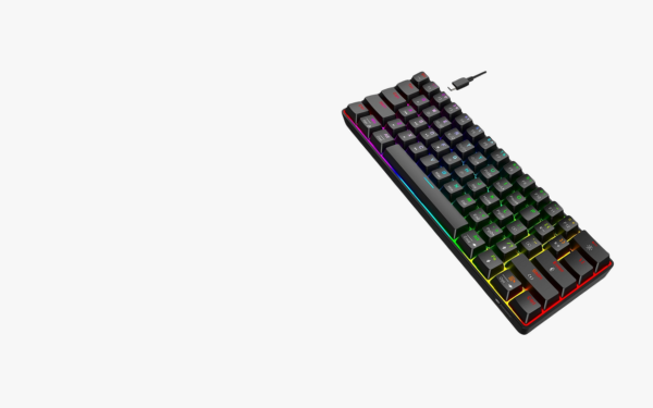 Level Up Gaming Experience